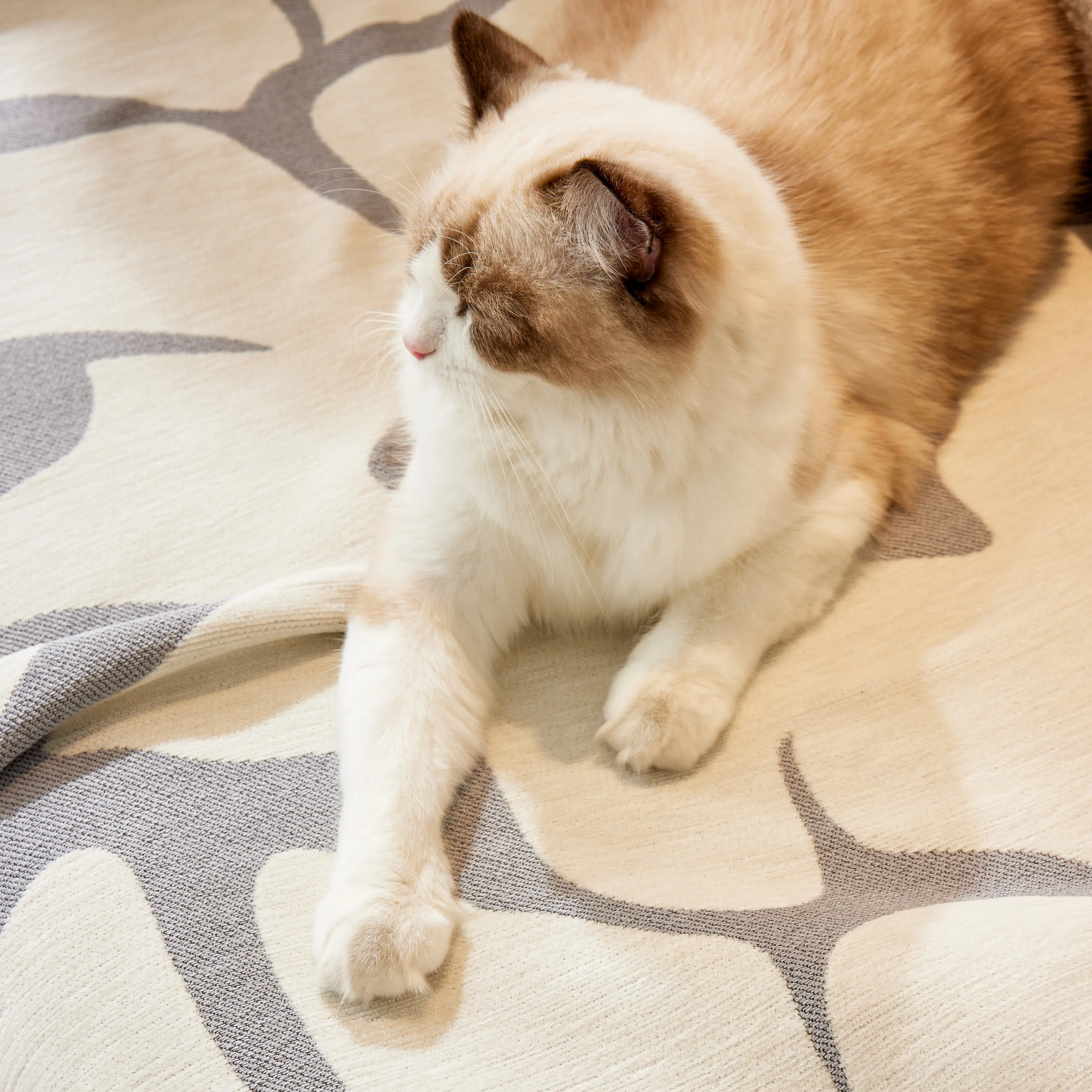 Product image 109