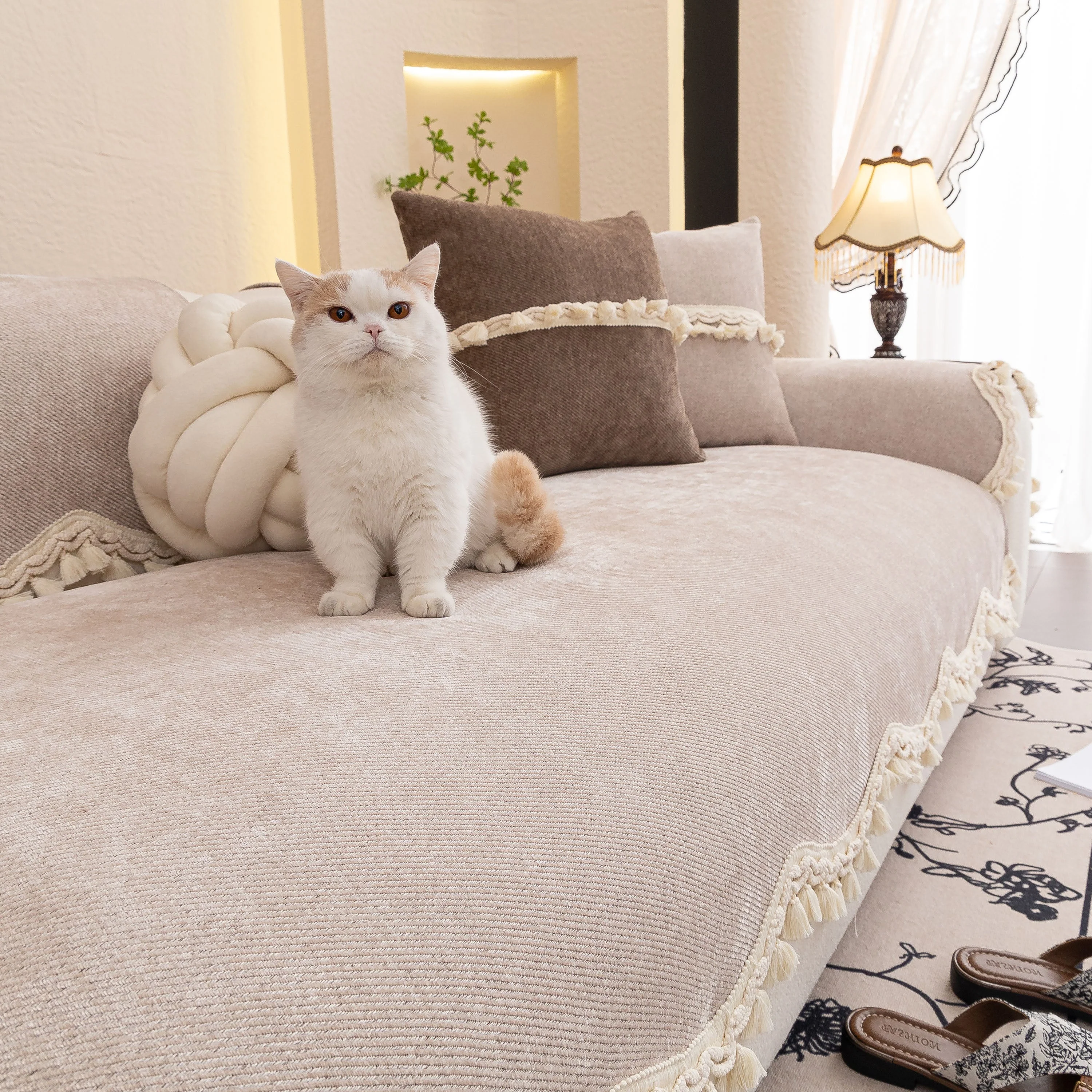 Product image 100